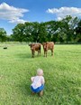 Babies staring down a baby.