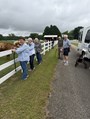 The Neighborhood at Grove Park Assisted Living residents visiting the longhorns and horses.