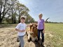 Having neighbor kids out to visit longhorns