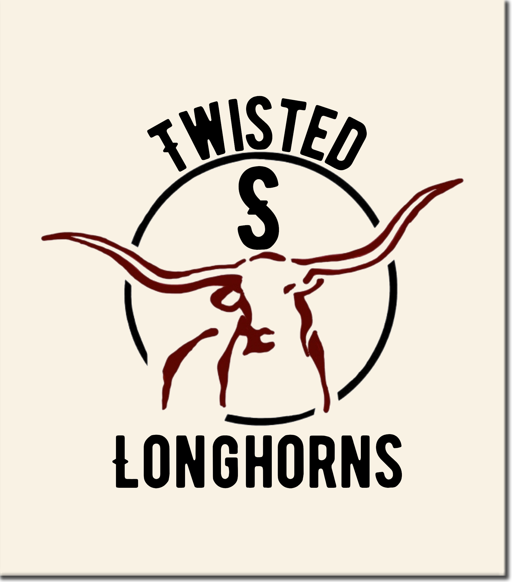 Twisted S Longhorns logo